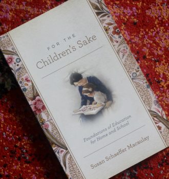 Couverture de The Children's sake de Susan Schaeffer ©Nos Jours Dorés