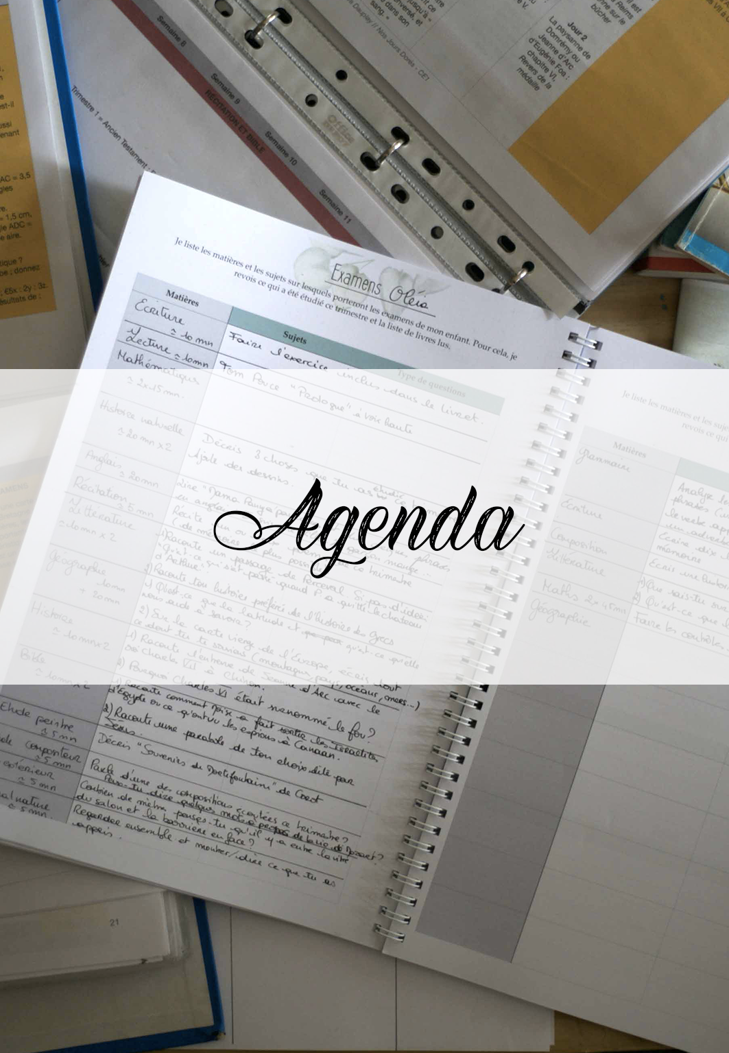Catégorie de ressources pour acheter l'agenda pour l'école à la maison