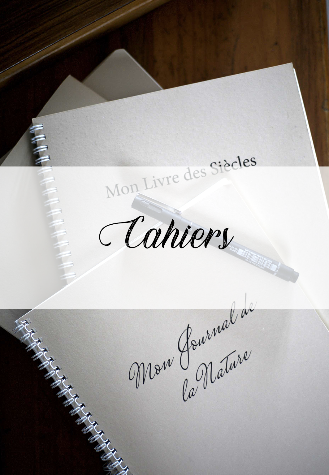 Catégorie de ressources pour retrouver tous les cahiers de la pédagogie Charlotte Mason