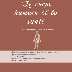 étude du corps humain enfants plan de cours Nos Jours Dorés