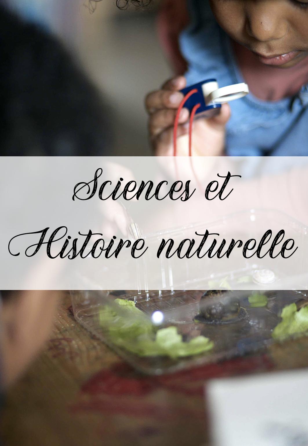 Catégorie de ressources pour enseigner les sciences et l'étude de la nature aux enfants avec la pédagogie Charlotte Mason