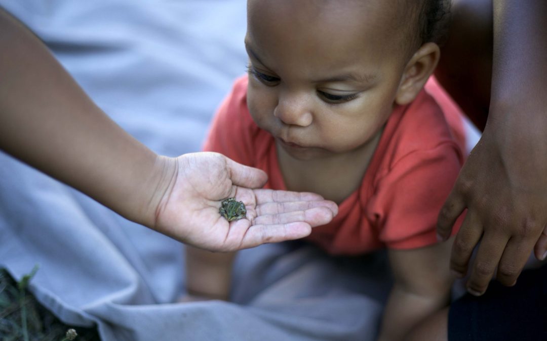 Jeux et activités Charlotte Mason pour les 0-3 ans