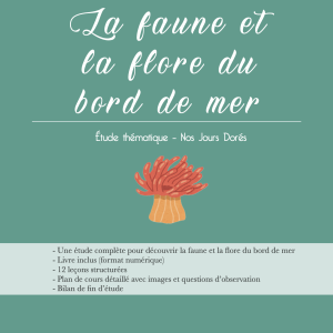Ressources pédagogiques pour aborder les plantes aquatiques et les oiseaux du bord de mer
